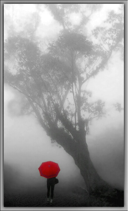 Walking in the fog...