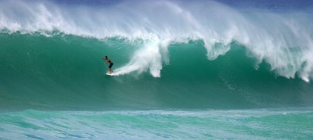 West Swell  Wave Rider