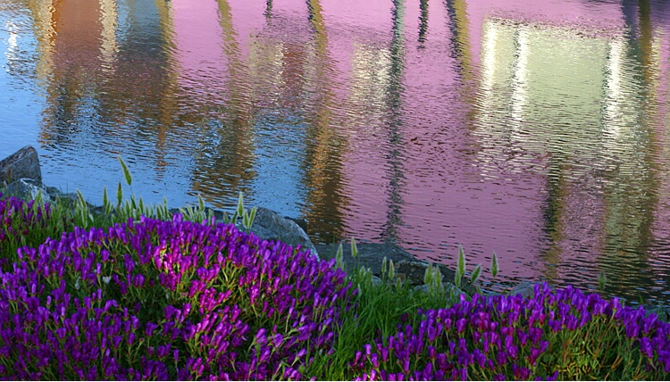 Houseboat reflection