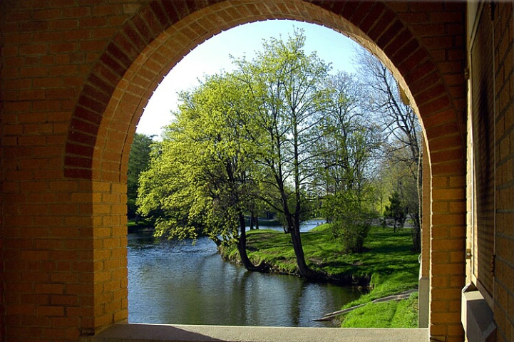 Springtime Framed