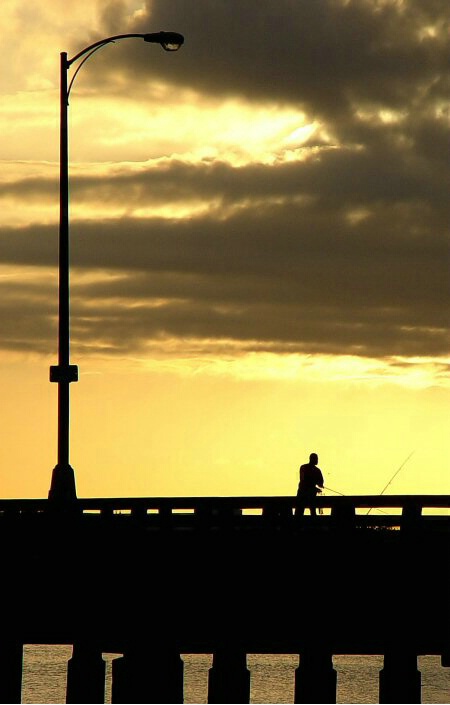 Bridge Fishing