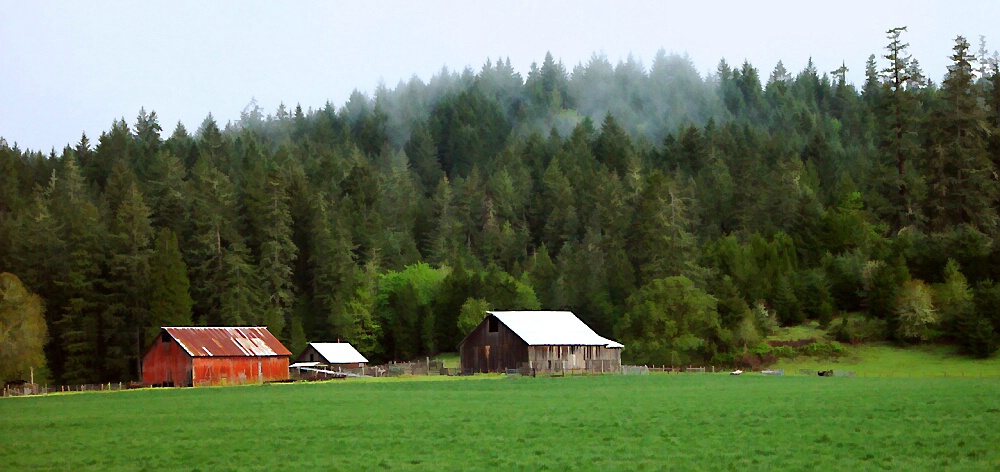 Mckenzie Barns