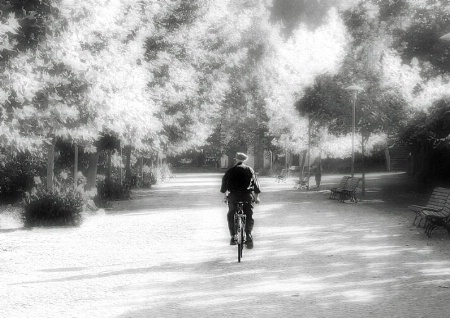 Ponte de Lima, early morning of a summer day