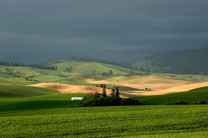 The last sunlight of the day