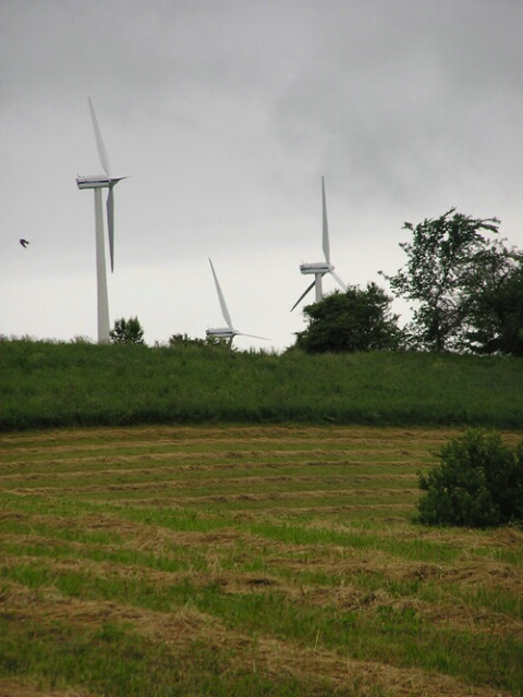 Windrows and Windmills