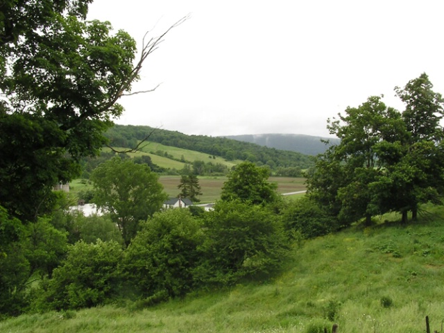 Rural Scene