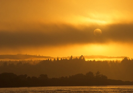 Morning Fog - Bandon, Oregon