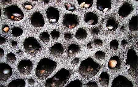 pacific pebble condo