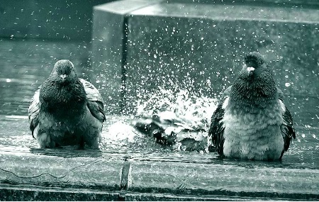 shower time