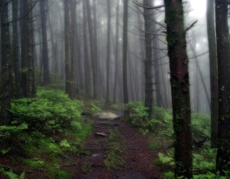 Appalachian Trail