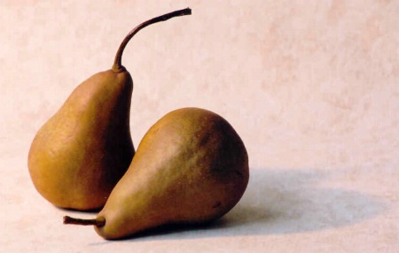 A PAIR OF PEARS