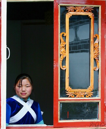 In the Window