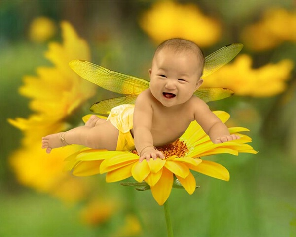 Baby on yellow flower