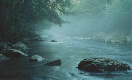 Mist on Little River - Great Smoky Mnt Ntl Pk, Tn