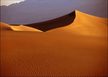 Stock Assignment - Dunes