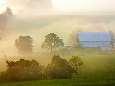 Morning Light