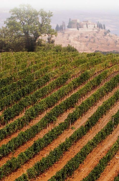 Reading Tuscany Between the Lines