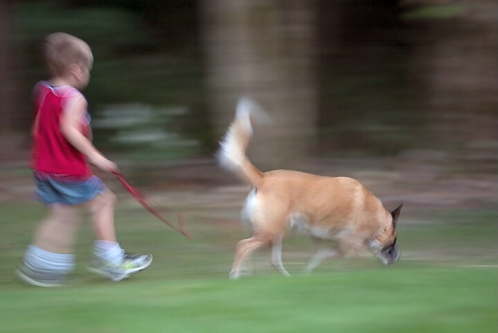 Kid on a Leash