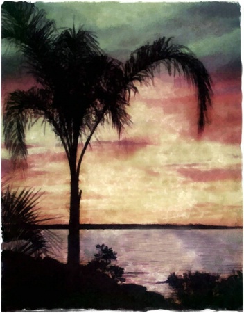 palm sunset 2