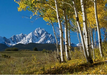 Mt. Sneffels