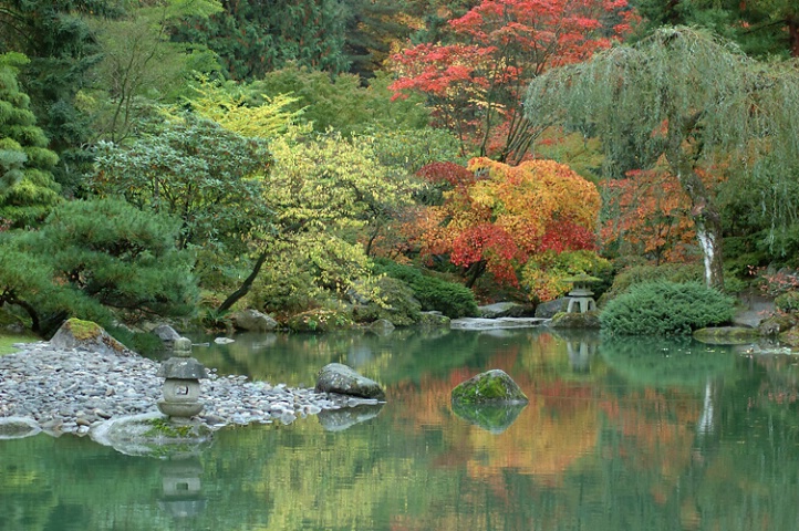 Autumn Garden  