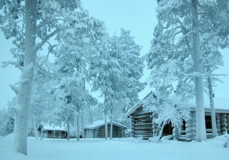 Polar Night