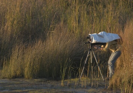 Preparing for Sunset