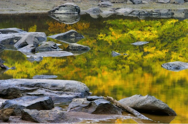 On Golden Pond