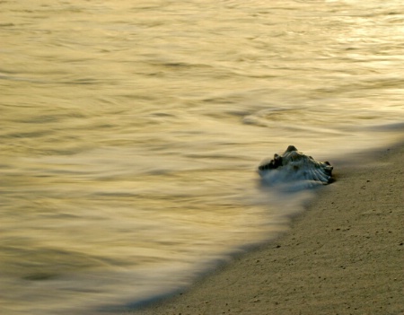 In the Surf