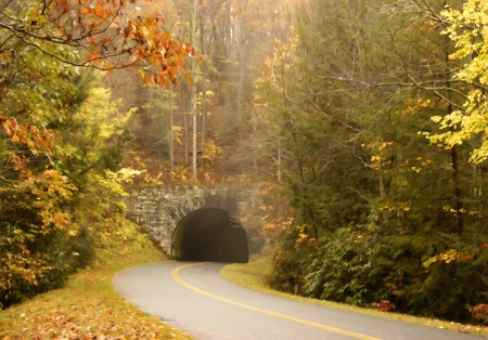 Blue Ridge Beauty