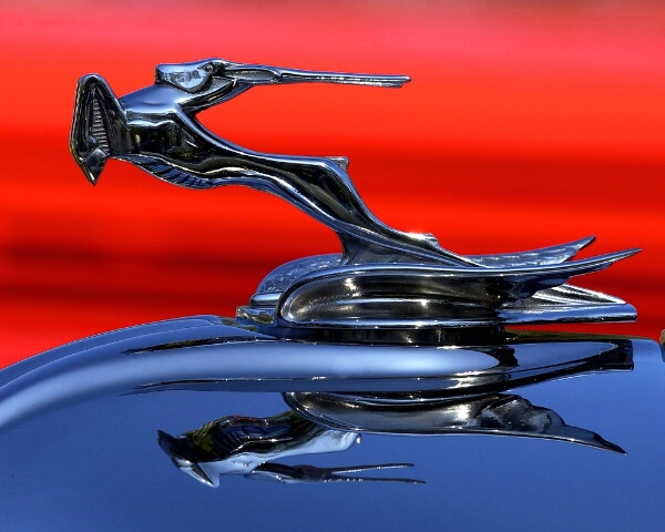 Hood Ornament