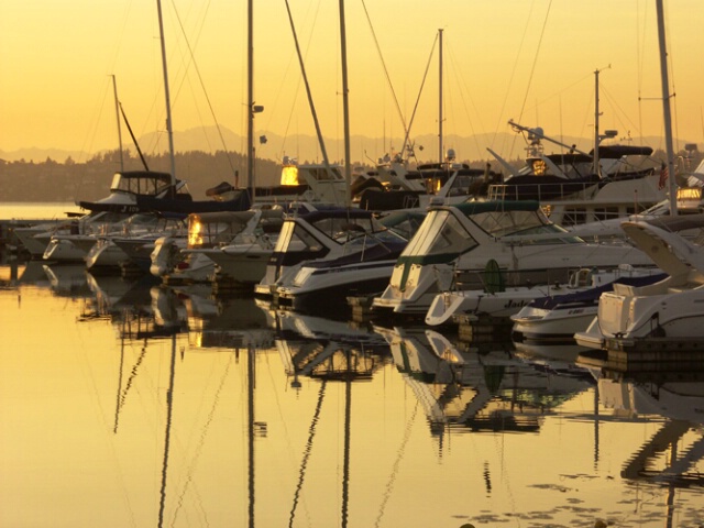 Marina Sunset