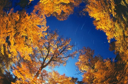 An Autumn Orbit(w)