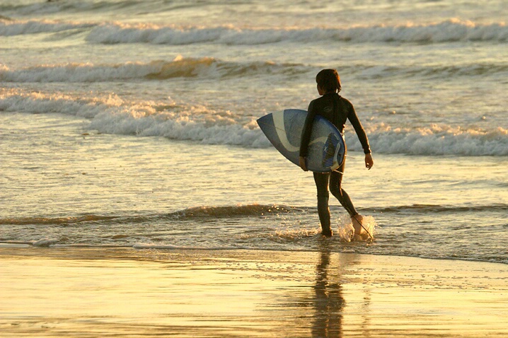 Sunset Surfer