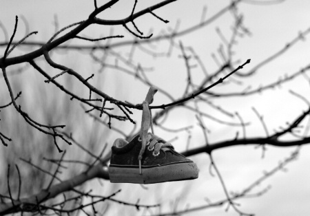 Summer Sneaker Suspended