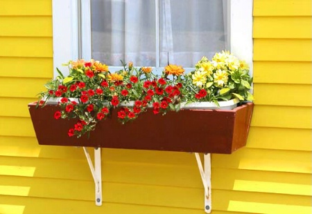 Window Box