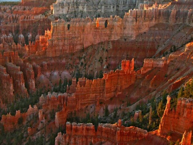 Bryce Canyon at Dawn