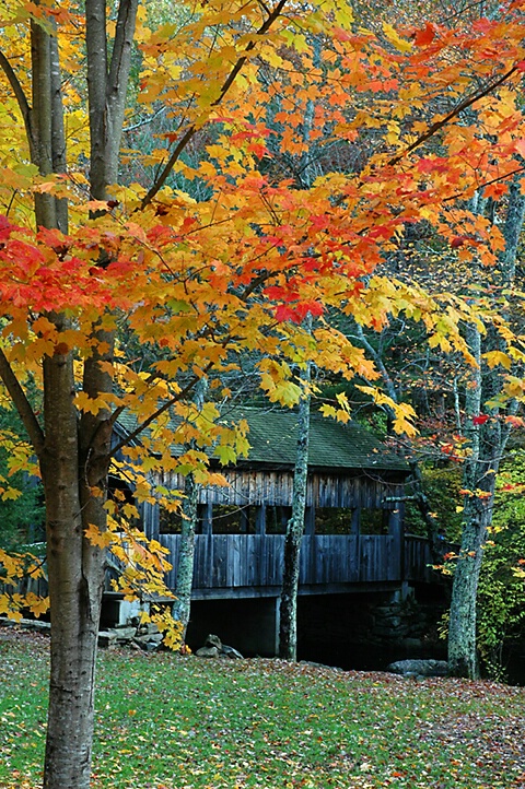 Little Covered Bridge