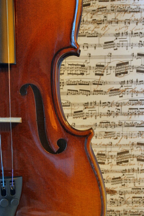 Musical Curves