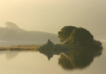 Island on a Foggy Morning