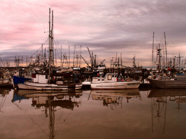 Steveston 2