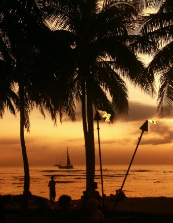 Waikiki Evening