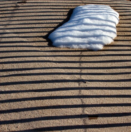 Snow Fenced