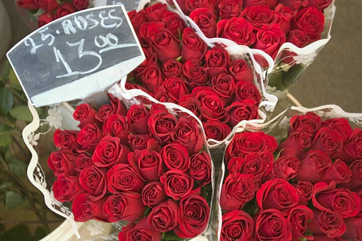 Roses for Your Valentine