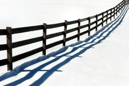 Snow Fence