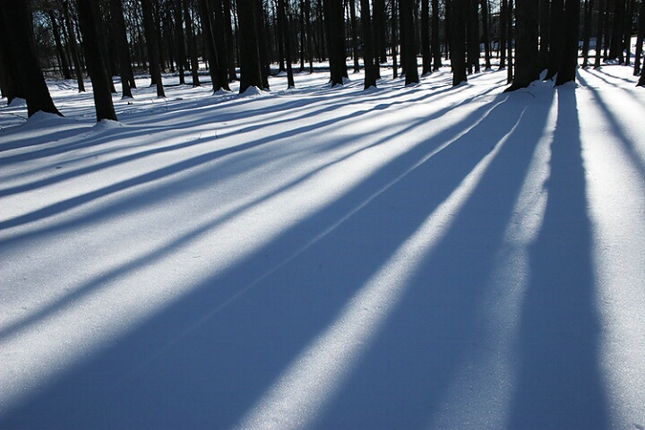 Long Shadows