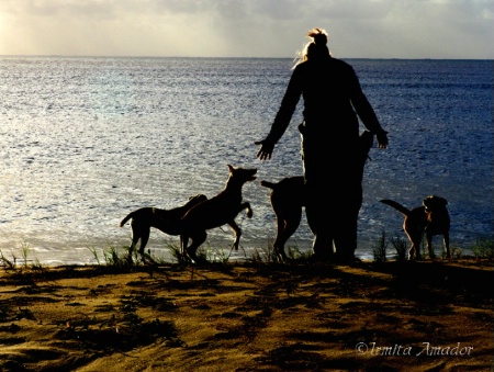 Sharing Love In The Sunset