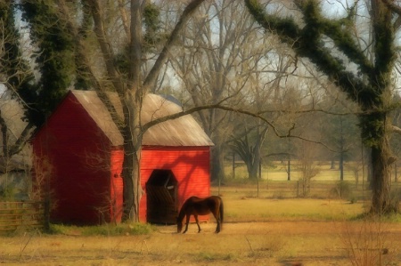 Meet Me At The Barn