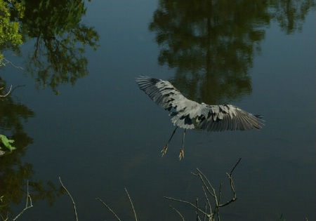 Landing Gear, Check. Flaps, Check.