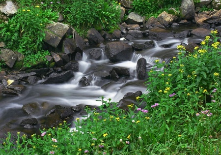 Colorful Waters